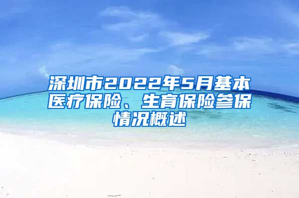 深圳市2022年5月基本医疗保险、生育保险参保情况概述