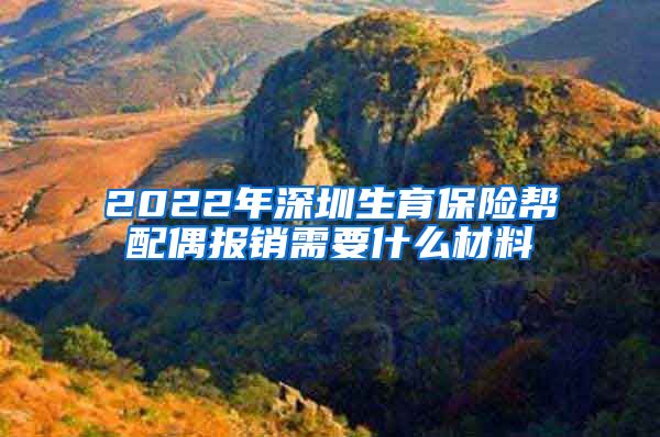 2022年深圳生育保险帮配偶报销需要什么材料