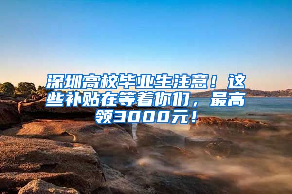 深圳高校毕业生注意！这些补贴在等着你们，最高领3000元！