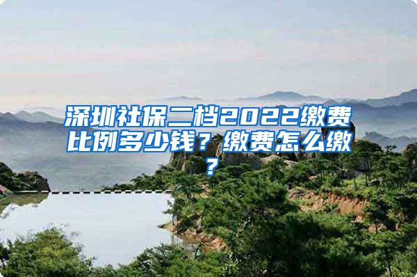 深圳社保二档2022缴费比例多少钱？缴费怎么缴？