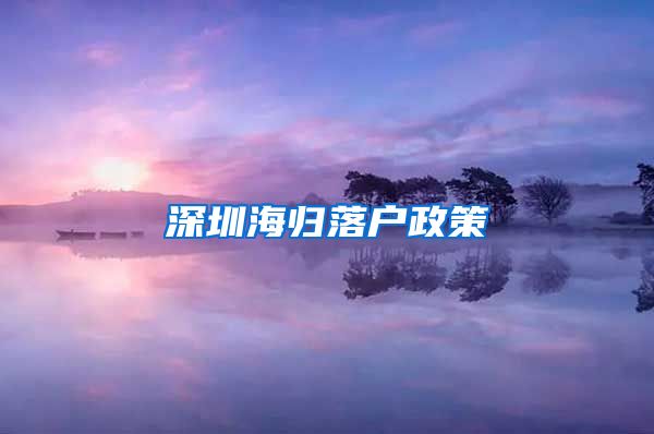 深圳海归落户政策