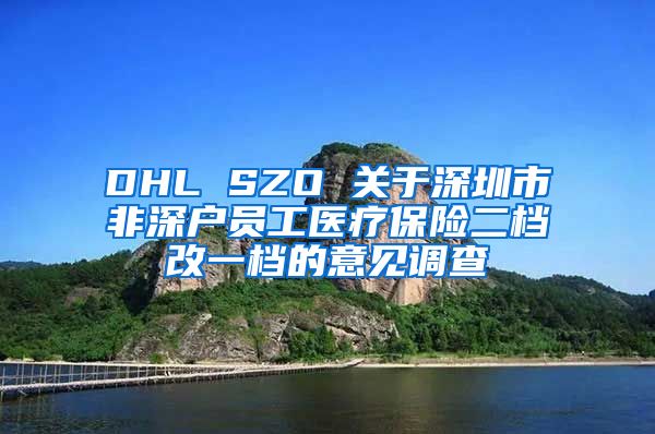 DHL SZO 关于深圳市非深户员工医疗保险二档改一档的意见调查