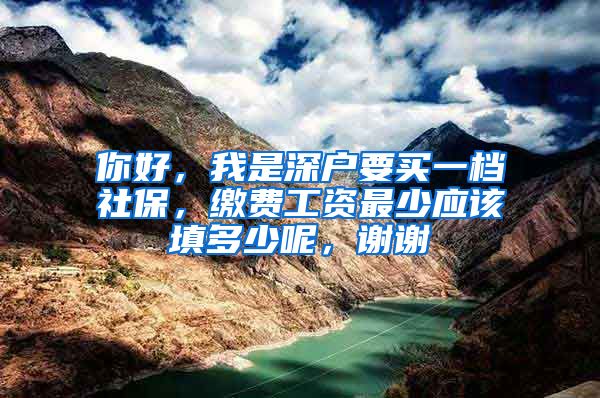 你好，我是深户要买一档社保，缴费工资最少应该填多少呢，谢谢