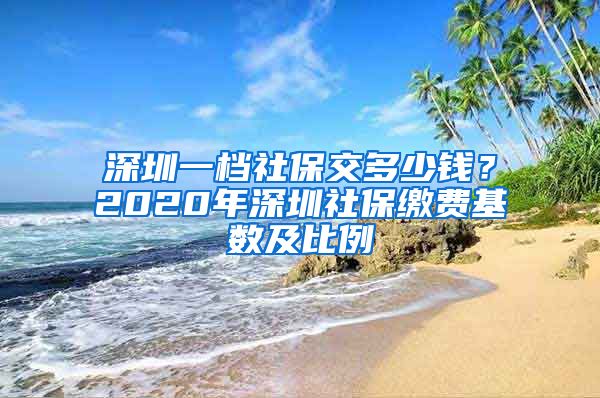 深圳一档社保交多少钱？2020年深圳社保缴费基数及比例