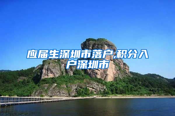 应届生深圳市落户,积分入户深圳市