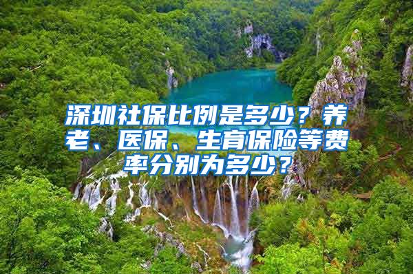 深圳社保比例是多少？养老、医保、生育保险等费率分别为多少？