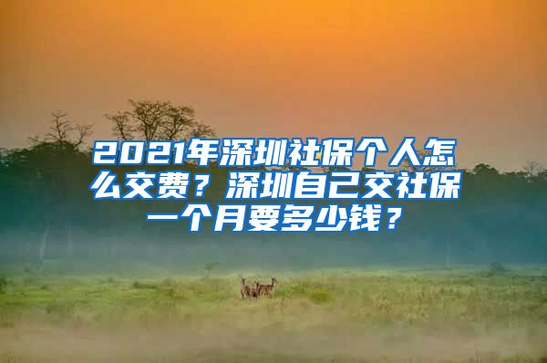 2021年深圳社保个人怎么交费？深圳自己交社保一个月要多少钱？