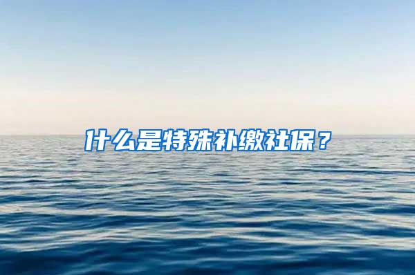 什么是特殊补缴社保？