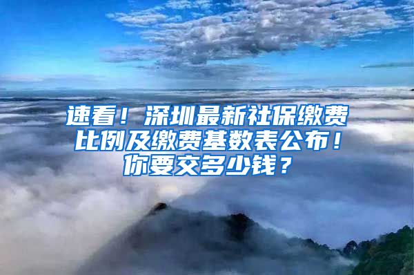 速看！深圳最新社保缴费比例及缴费基数表公布！你要交多少钱？