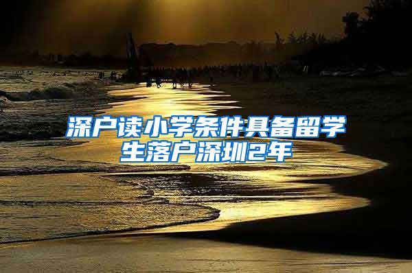 深户读小学条件具备留学生落户深圳2年