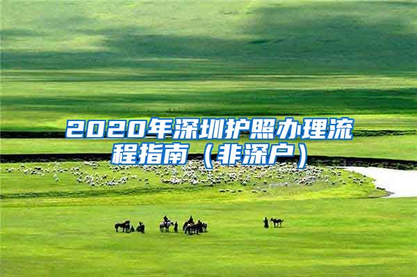 2020年深圳护照办理流程指南（非深户）