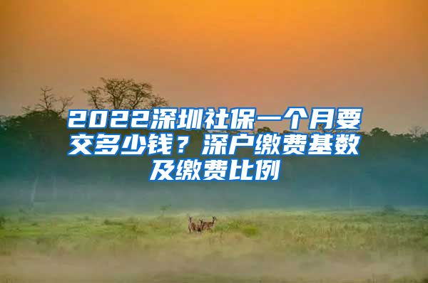 2022深圳社保一个月要交多少钱？深户缴费基数及缴费比例