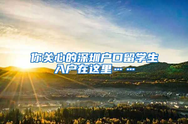 你关心的深圳户口留学生入户在这里……