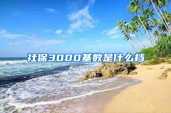 社保3000基数是什么档