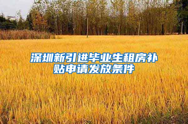 深圳新引进毕业生租房补贴申请发放条件