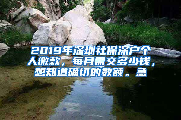 2019年深圳社保深户个人缴款，每月需交多少钱，想知道确切的数额。急