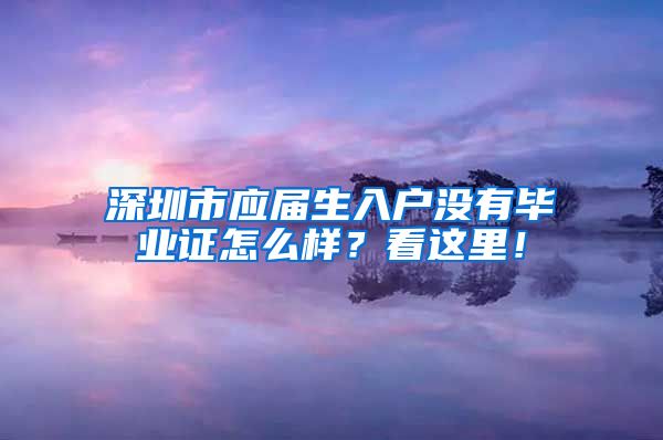 深圳市应届生入户没有毕业证怎么样？看这里！