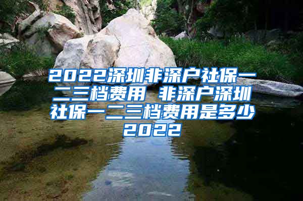 2022深圳非深户社保一二三档费用 非深户深圳社保一二三档费用是多少2022