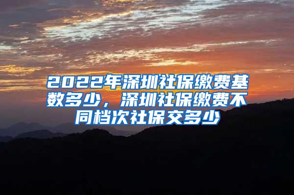 2022年深圳社保缴费基数多少，深圳社保缴费不同档次社保交多少