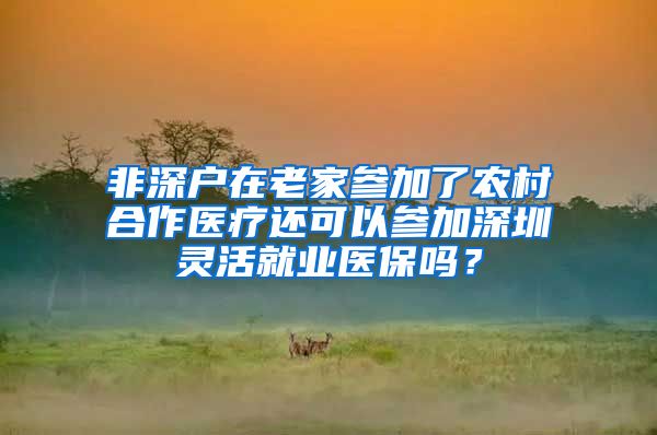 非深户在老家参加了农村合作医疗还可以参加深圳灵活就业医保吗？