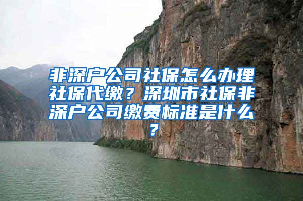 非深户公司社保怎么办理社保代缴？深圳市社保非深户公司缴费标准是什么？