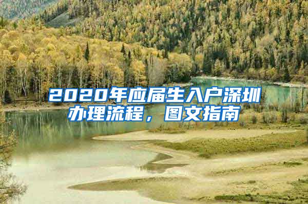 2020年应届生入户深圳办理流程，图文指南