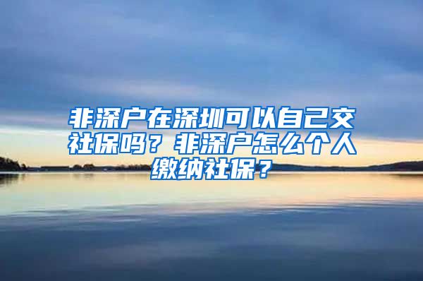 非深户在深圳可以自己交社保吗？非深户怎么个人缴纳社保？