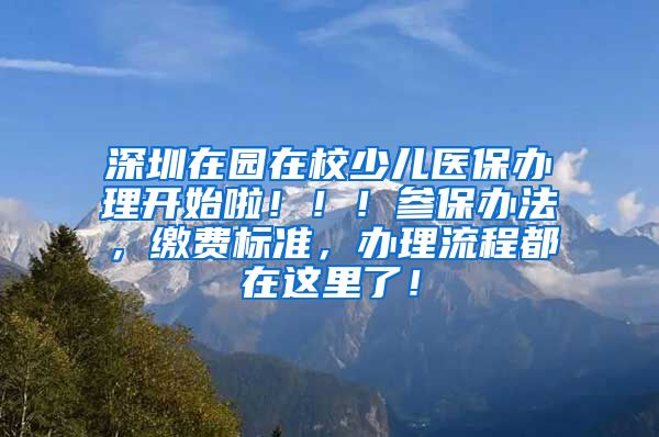 深圳在园在校少儿医保办理开始啦！！！参保办法，缴费标准，办理流程都在这里了！