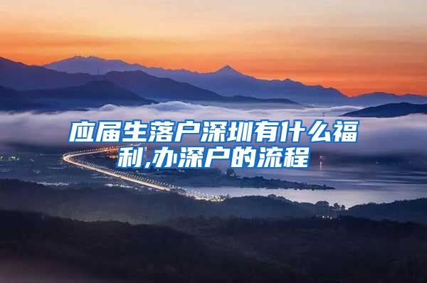 应届生落户深圳有什么福利,办深户的流程