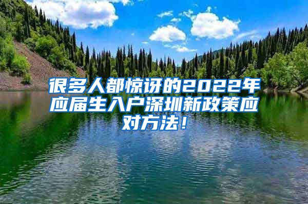 很多人都惊讶的2022年应届生入户深圳新政策应对方法！