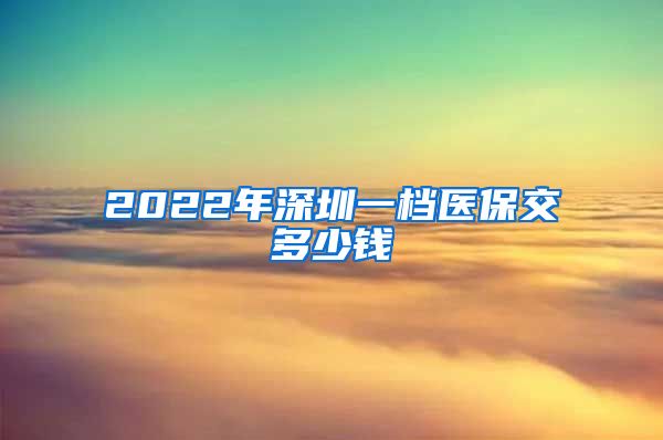 2022年深圳一档医保交多少钱