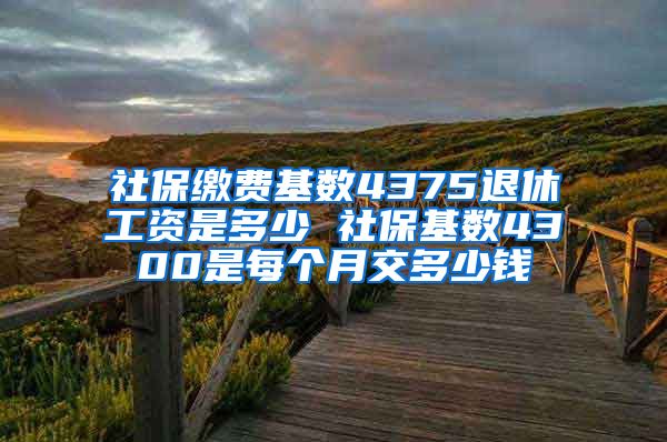 社保缴费基数4375退休工资是多少 社保基数4300是每个月交多少钱