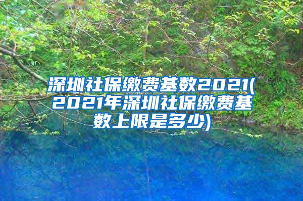 深圳社保缴费基数2021(2021年深圳社保缴费基数上限是多少)