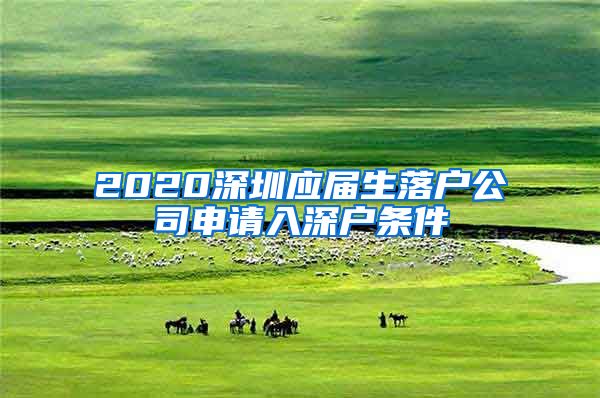 2020深圳应届生落户公司申请入深户条件