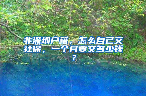 非深圳户籍，怎么自己交社保，一个月要交多少钱？