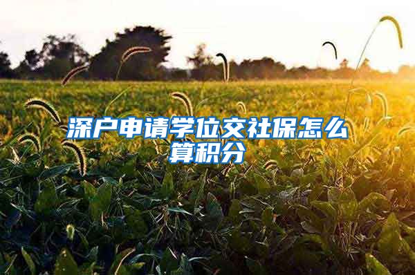 深户申请学位交社保怎么算积分