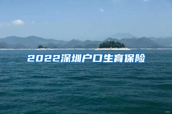 2022深圳户口生育保险