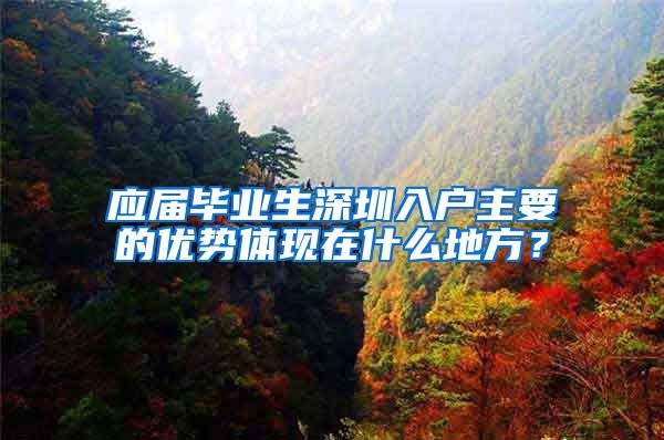 应届毕业生深圳入户主要的优势体现在什么地方？