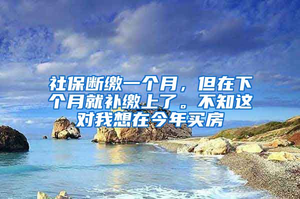 社保断缴一个月，但在下个月就补缴上了。不知这对我想在今年买房