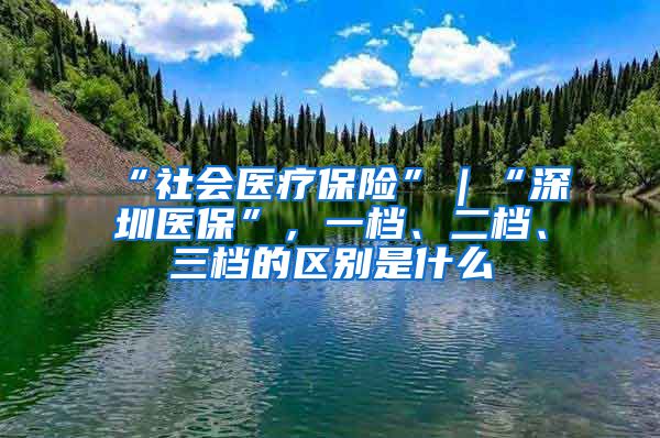 “社会医疗保险”｜“深圳医保”，一档、二档、三档的区别是什么