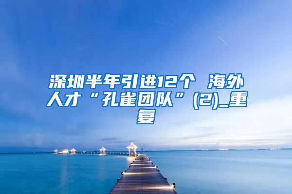 深圳半年引进12个 海外人才“孔雀团队”(2)_重复