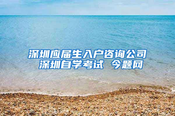 深圳应届生入户咨询公司 深圳自学考试 今题网