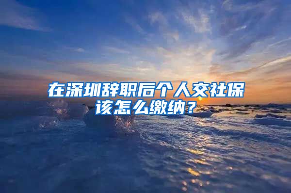 在深圳辞职后个人交社保该怎么缴纳？