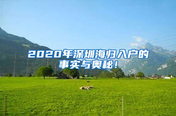 2020年深圳海归入户的事实与奥秘！