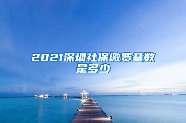 2021深圳社保缴费基数是多少