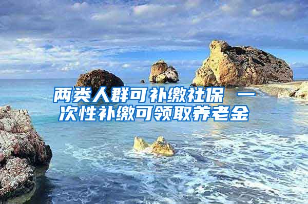 两类人群可补缴社保 一次性补缴可领取养老金