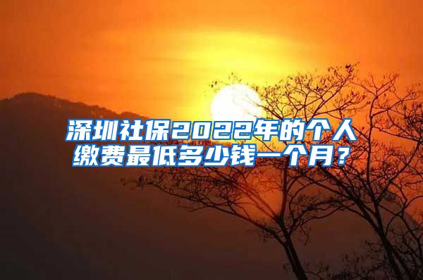 深圳社保2022年的个人缴费最低多少钱一个月？