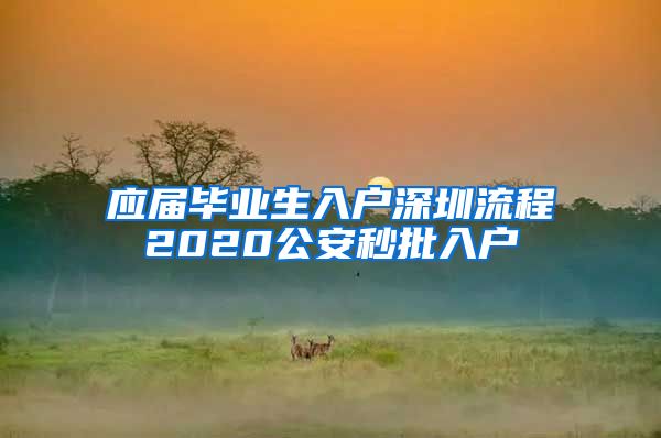 应届毕业生入户深圳流程2020公安秒批入户