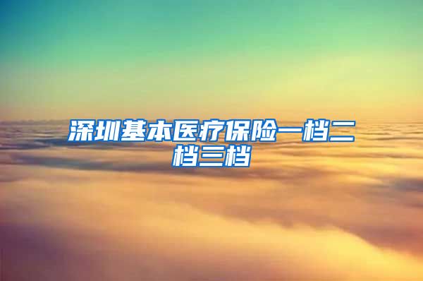 深圳基本医疗保险一档二档三档