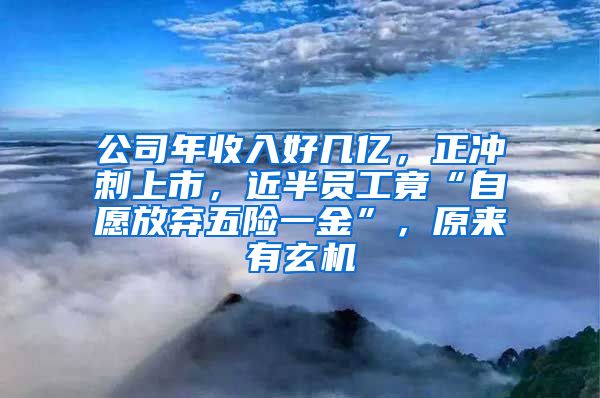 公司年收入好几亿，正冲刺上市，近半员工竟“自愿放弃五险一金”，原来有玄机